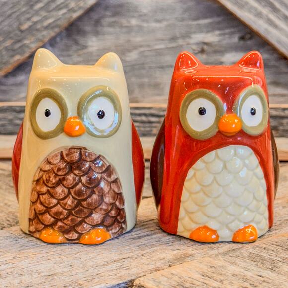 Vintage Ceramic Owl Salt and Pepper Shaker Set, Retro Theme, Fall/Autumn Theme - Picture 1 of 9